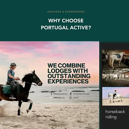 Front By Portugal Active 펜션 몰레도